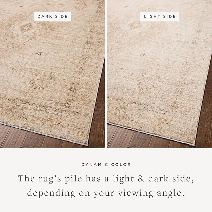 Loloi Chris Loves Julia Palma Collection PLM-06 Natural/Smoke 2'-7" x 7'-6" - Image 3