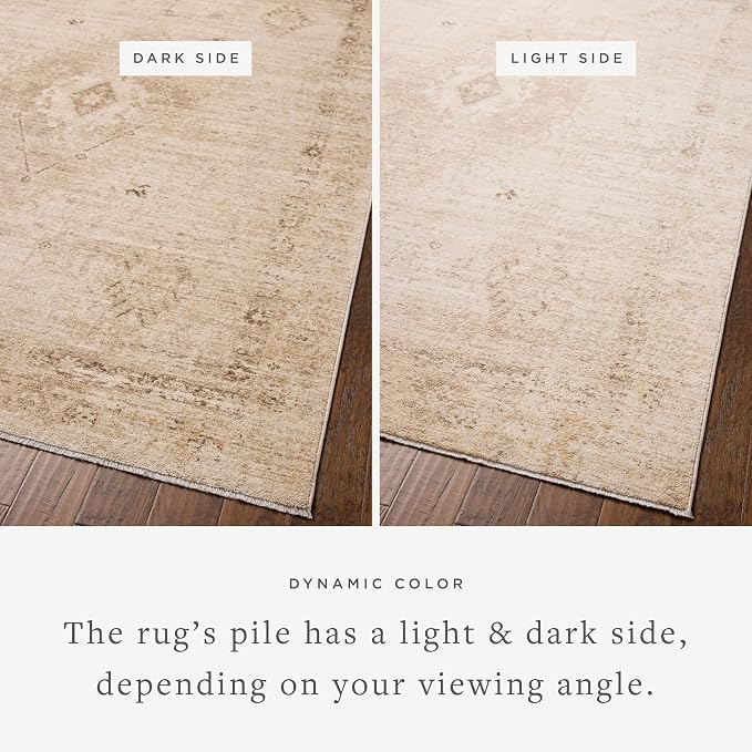 Loloi Chris Loves Julia Palma Collection PLM-06 Natural/Smoke 9'-6" x 13'-1" - Image 3