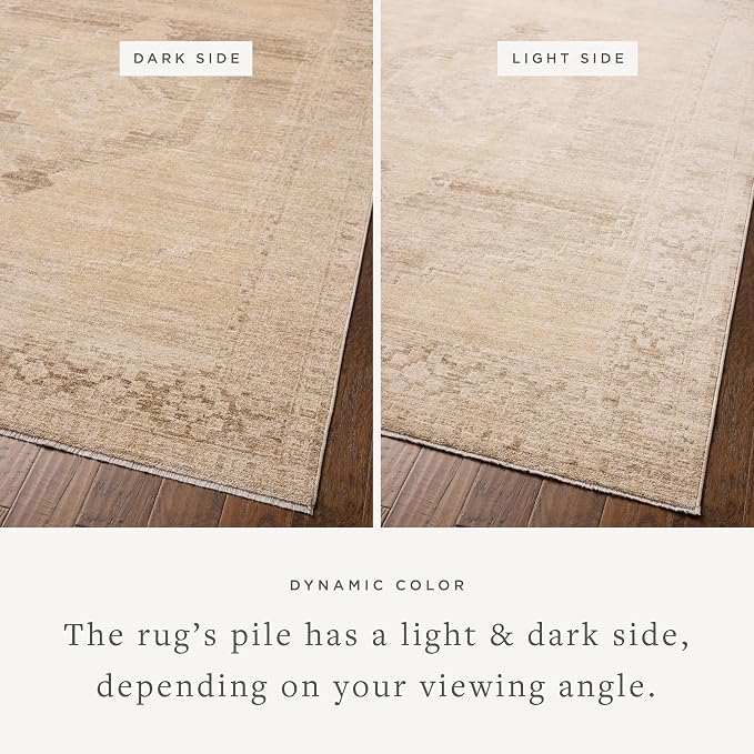 Loloi Chris Loves Julia Palma Collection PLM-07 Wheat/Taupe 2'-3" x 3'-10" - Image 3