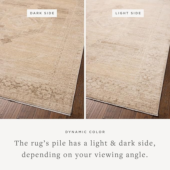 Loloi Chris Loves Julia Palma Collection PLM-07 Wheat/Taupe 3'-6" x 5'-6" - Image 3