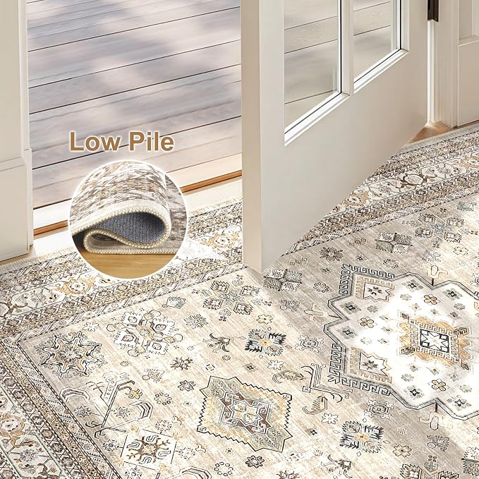 Vintage Living Room Area Rug 2x3 - Image 4