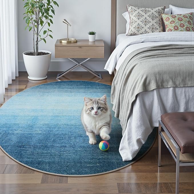 Wonnitar Modern Ombre Washable Round Rugs 5ft, Soft Circle Bedroom Area Rug - Image 8