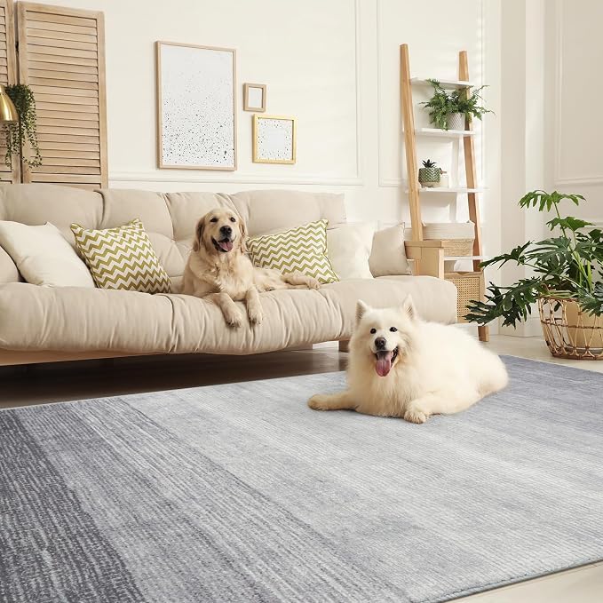 Wonnitar Modern Ombre 6x9 Grey Area Rugs - Image 8