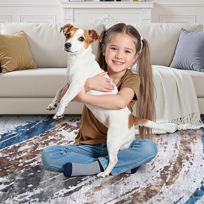 Ciicool Abstract Area Rug Indoor, 3x5 Washable Entryway Rug, Modern Throw Entry - Image 6