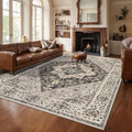 Tangsoo 9x12 Vintage Area Rugs for Living Room, Washable Indoor Non Slip Large by Tangsoo