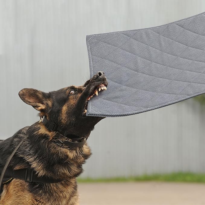 MABOZOO Indestructible Dog Beds by MABOZOO