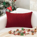 Kevin Textile 12x20 Inch Pillow Cover 1 Pack Boho Christmas Decorative Soft by KevinTextile