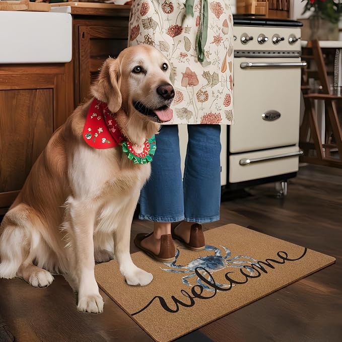 Blue Crab Welcome Door Mat, Beach Framhouse Doormat, Lake Sea Welcome Front - Image 5