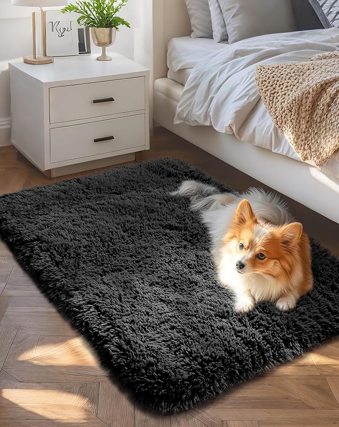 Ophanie Small Black Entryway Throw Rugs by Ophanie