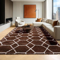 ONASAR 6x9 Area Rugs for Living Room Bedroom, Washable Large Fluffy Brown and by ONASAR