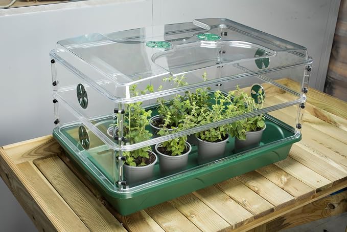 EarlyGrow 24" x 15" x 12.75" Domed Propagator - Image 7