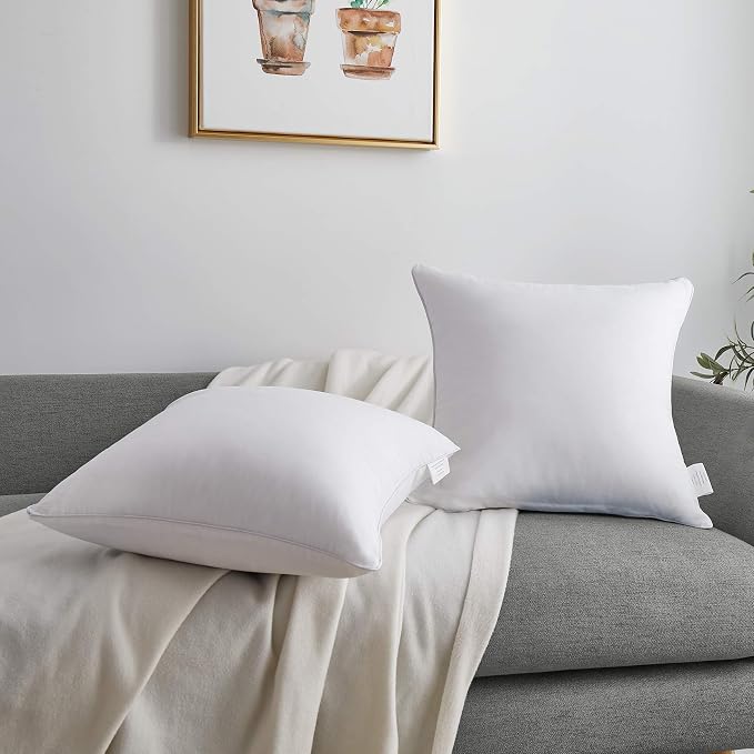 Oubonun 20 x 20 Throw Pillow Inserts - Image 8