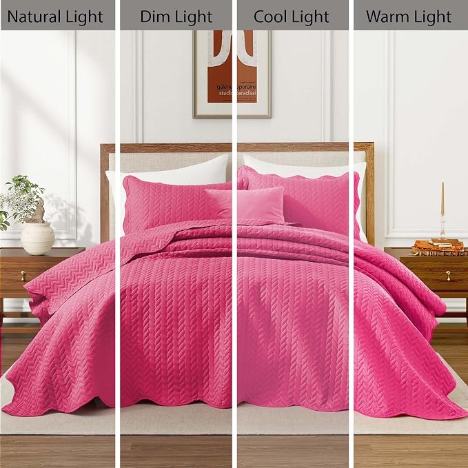 IR Imperial Rooms 8 Pack California King Quilt Bedding Set - Image 7