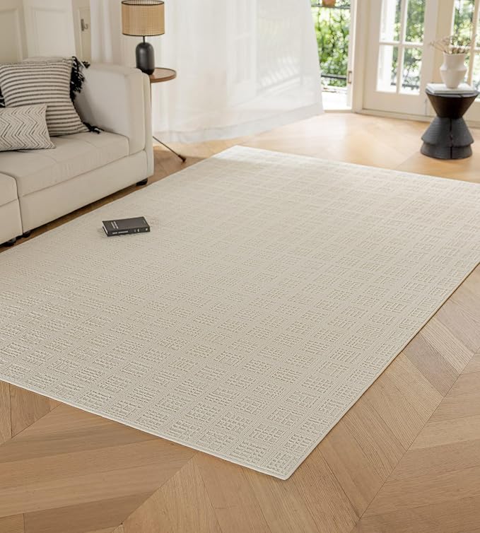 jxgzyy Beige Area Rug, 0.36'' Thick Low Pile Textured Rug, Modern Aesthetic by jxgzyy