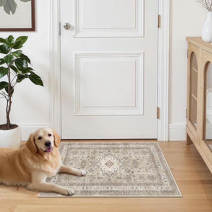 Vintage Living Room Area Rug 2x3 - Image 7