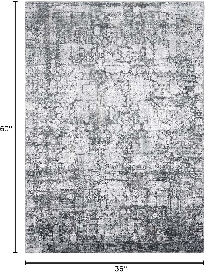 Area Rug 3×5, Vintage Boho Rug, Ultra-Soft Low Pile, Non Slip, Stain Resistant - Image 2
