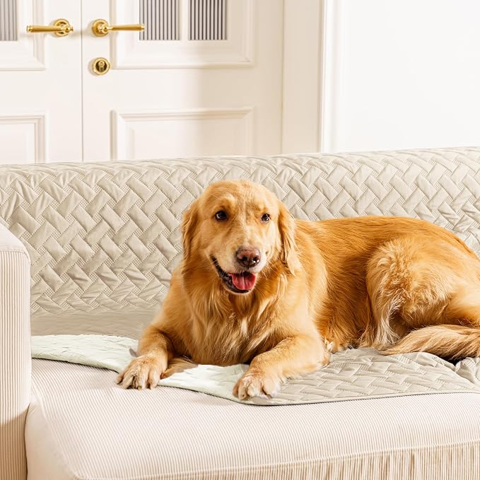 gogobunny 100% Double Sided Waterproof Dog Blanket Soft Bed Pet Cover by gogobunny