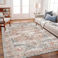 Area Rug 6'x9' Light Cyan and Light red Washable Vintage Traditional Floor by CHAMPLANT