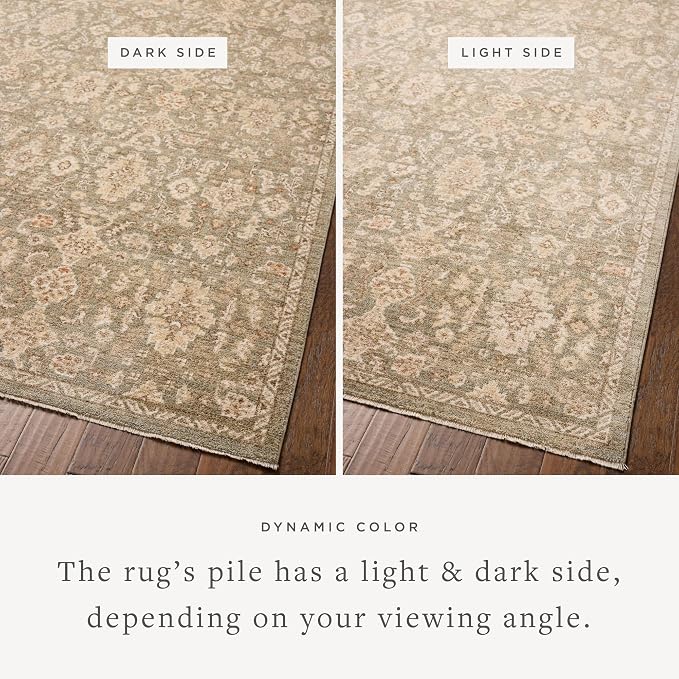 Loloi Chris Loves Julia Palma Collection PLM-03 Lagoon/Natural 3'-6" x 5'-6" - Image 3