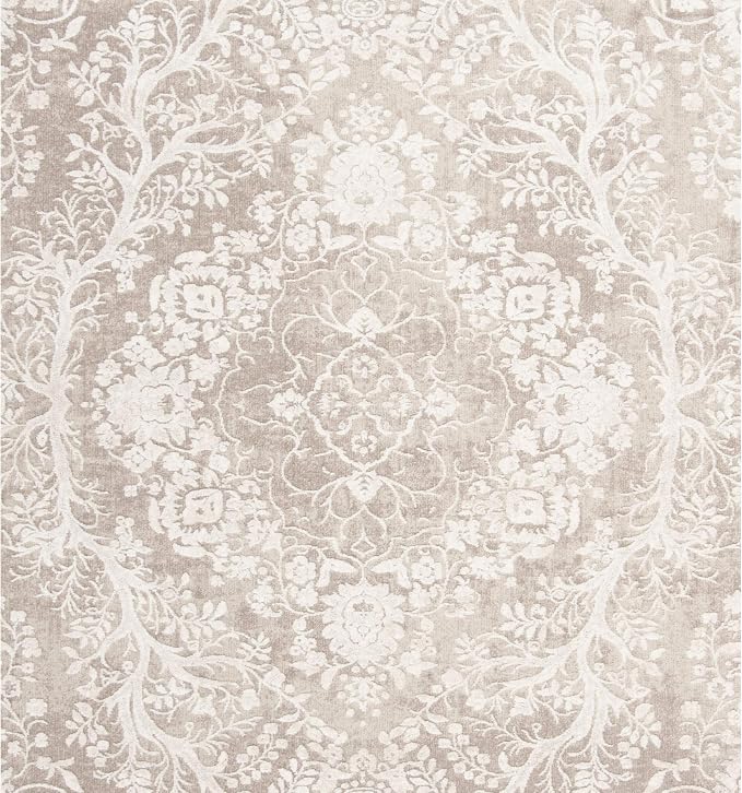 SAFAVIEH Area Rug 4x6 - Image 4