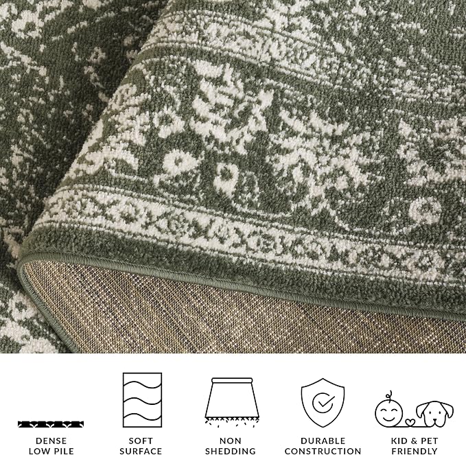 SAFAVIEH Adirondack Collection Area Rug - Image 5