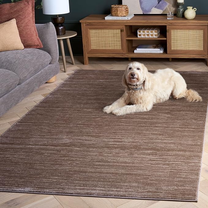 SAFAVIEH Vision Collection Area Rug - Image 7
