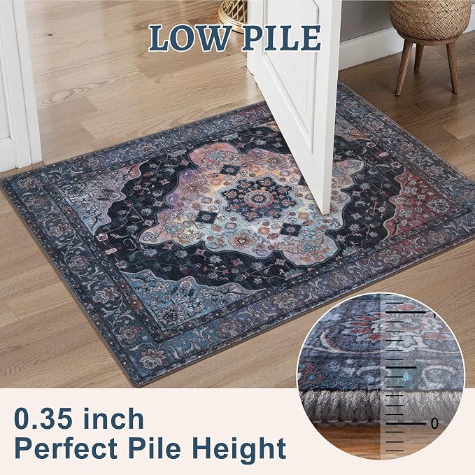 Tangsoo 3x5 Rug, Washable Vintage Rugs Indoor Area Rug, Non Slip Accent Rug - Image 4