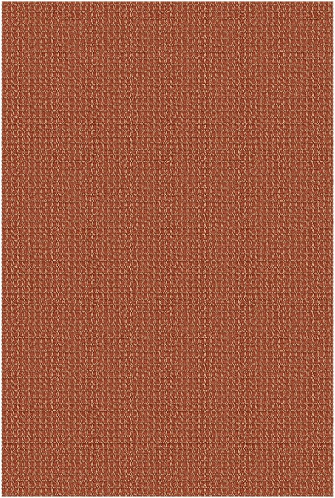 KOZYFLY Rugs for Entryway 3x5 ft Washable Area Rug Non Slip Rubber Backed Entry - Image 9