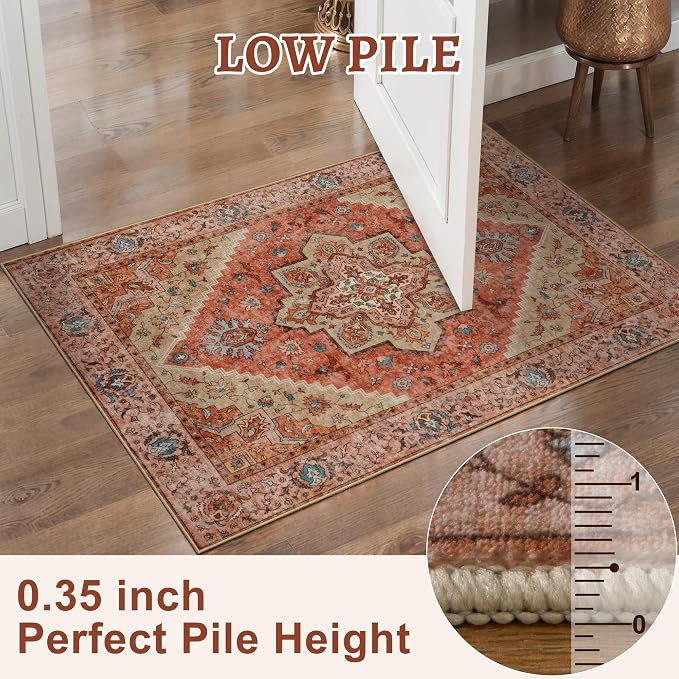 Tangsoo 4x6 Area Rug for Living Room, Washable Vintage Indoor, Distressed - Image 4
