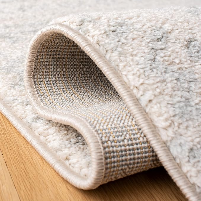 SAFAVIEH Area Rug 10x13 - Image 4