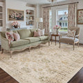 Beige 6x9 Area Rug Non Slip Vintage Living Room Distressed Machine Washable by PureCozy