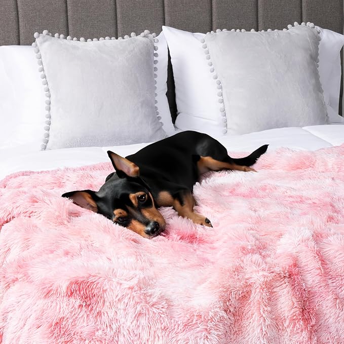 PetAmi Waterproof Dog Blanket for Small Medium Dogs, Calming Fleece Cat Blanket - Image 6