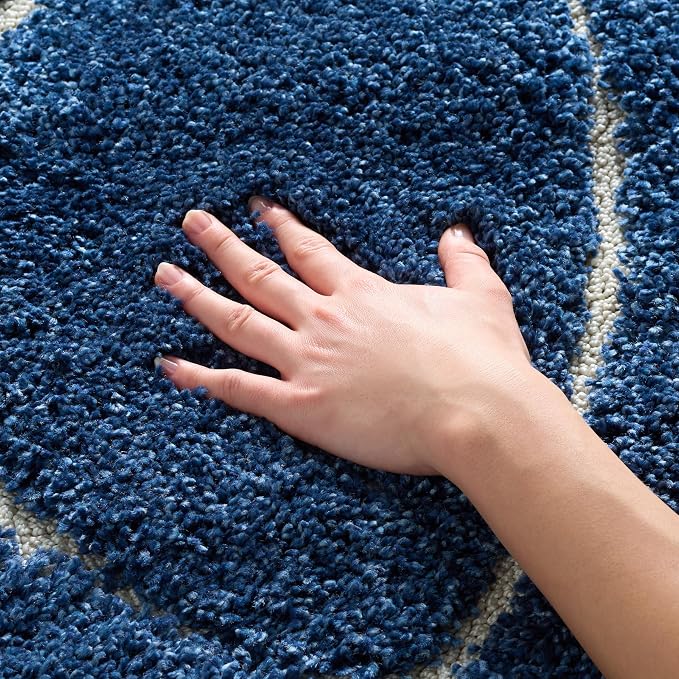 SAFAVIEH Florida Shag Collection Area Rug by SAFAVIEH