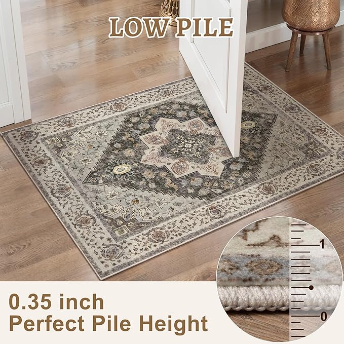Tangsoo Washable Rug 4x6 Area Rug, Vintage Rug Indoor - Image 3