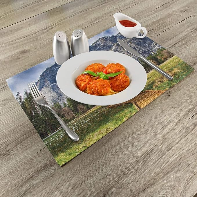 Ambesonne Yosemite Place Mats Set of 4, North Dome as Seen from The Valley - Image 2