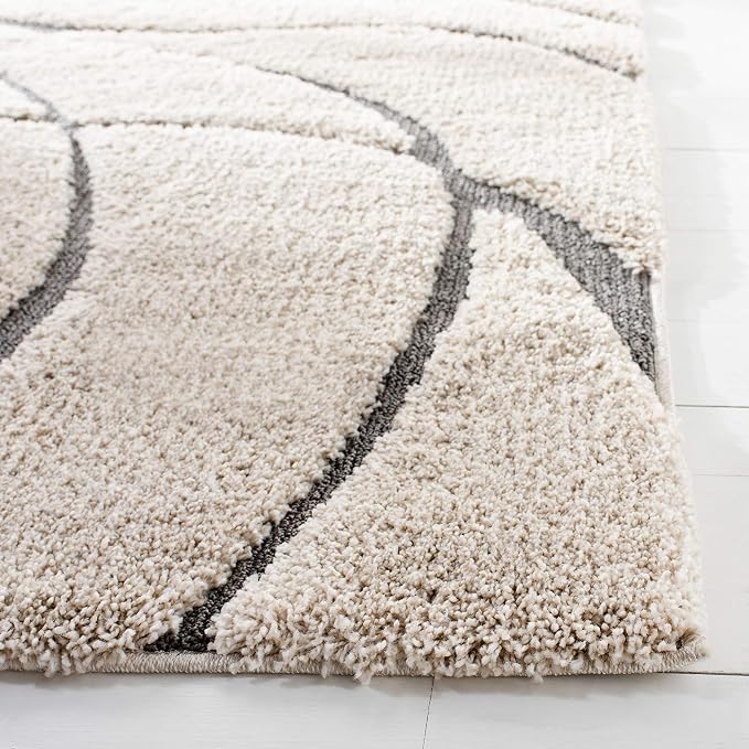 SAFAVIEH Area Rug 8x10 - Image 4