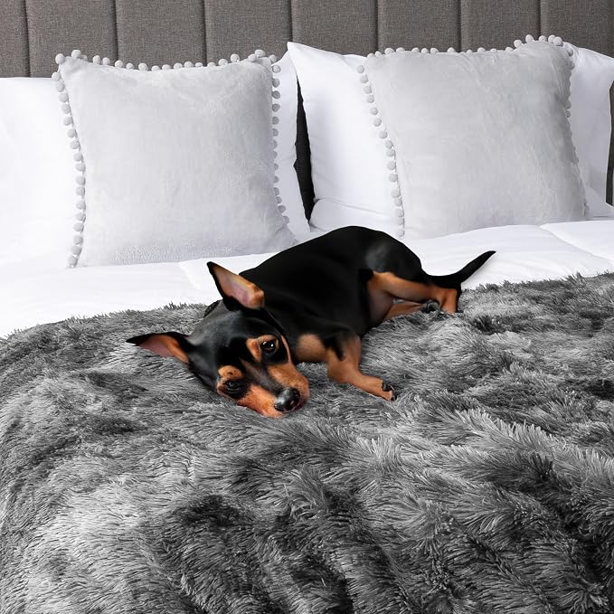 PetAmi Waterproof Dog Blanket for Small Medium Dogs, Calming Fleece Cat Blanket - Image 6