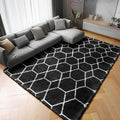 ONASAR Area Rugs for Living Room Bedroom, 5x8 Washable Fluffy Black and White by ONASAR