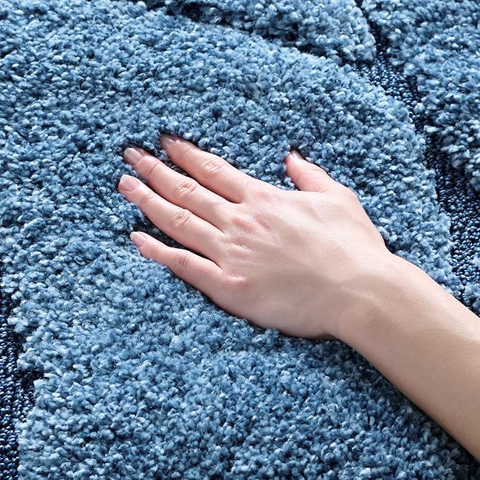 SAFAVIEH Florida Shag Collection Area Rug by SAFAVIEH