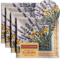 Maison d' Hermine Cloth Napkins Set of 4 100% Cotton Everyday Reusable Square by MaisondHermine