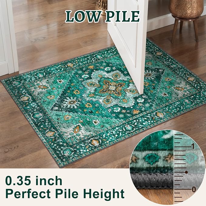Tangsoo 8x10 Area Rug for Living Room, Washable Vintage Rug Indoor Non Slip - Image 3