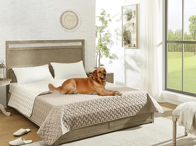 gogobunny 100% Double Sided Waterproof Dog Blanket Soft Pet Bed Cover - Image 7
