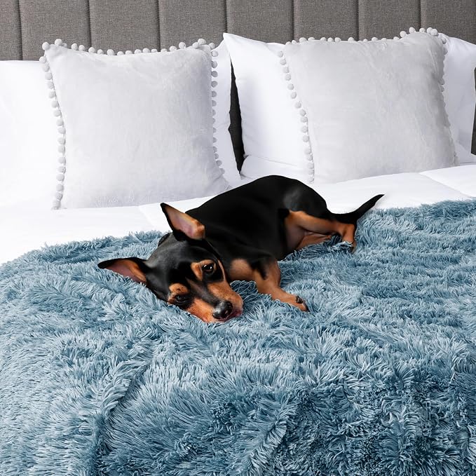 PetAmi Waterproof Dog Blanket for Medium Large Dogs, Calming Fleece Cat Blanket - Image 6