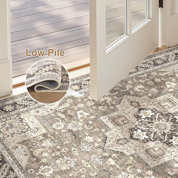 Vintage Living Room Area Rug 3x5 - Image 4
