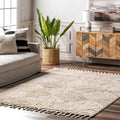 nuLOOM Kerry Beige, Soft and Cozy, High Traffic, Stain Resistant, Easy Clean by nuLOOM