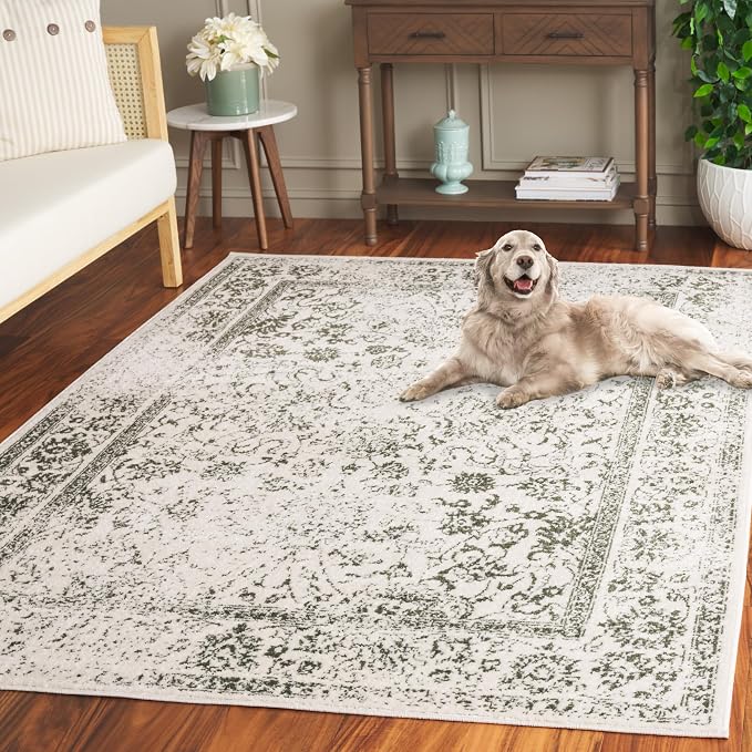 SAFAVIEH Adirondack Collection Area Rug - Image 6