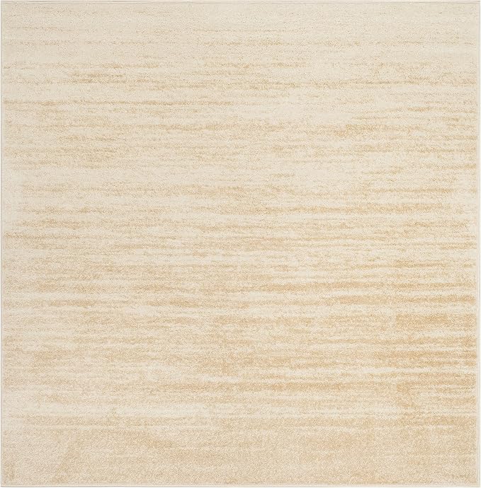 SAFAVIEH Adirondack Collection Area Rug - Image 2