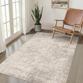4x6 Rug Washable Area Rugs: Neutral Abstract Soft Modern Stain Resistant Small by LOONGRUG