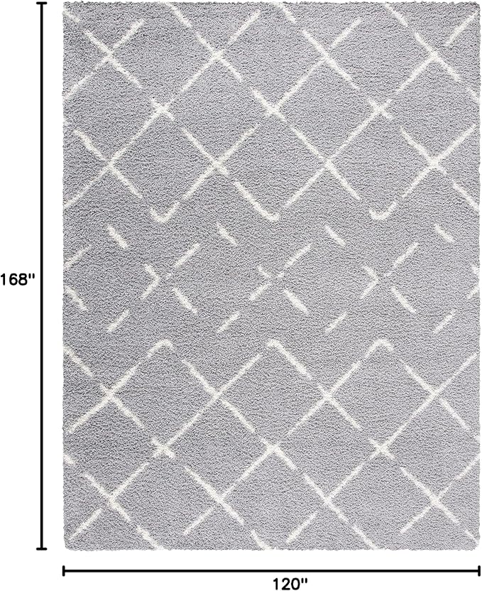 SAFAVIEH Area Rug 10x14 - Image 2