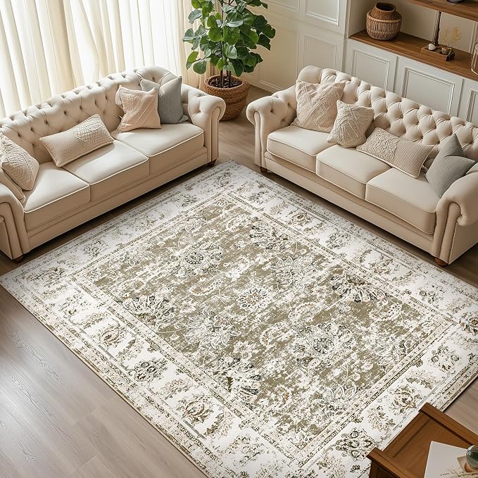jinchan Fiora 8x10 Area Rugs for Living Room by JINCHAN